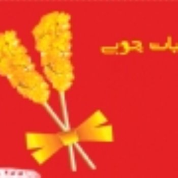 مجید شریفی